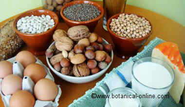 Alimentos que contienen proteínas