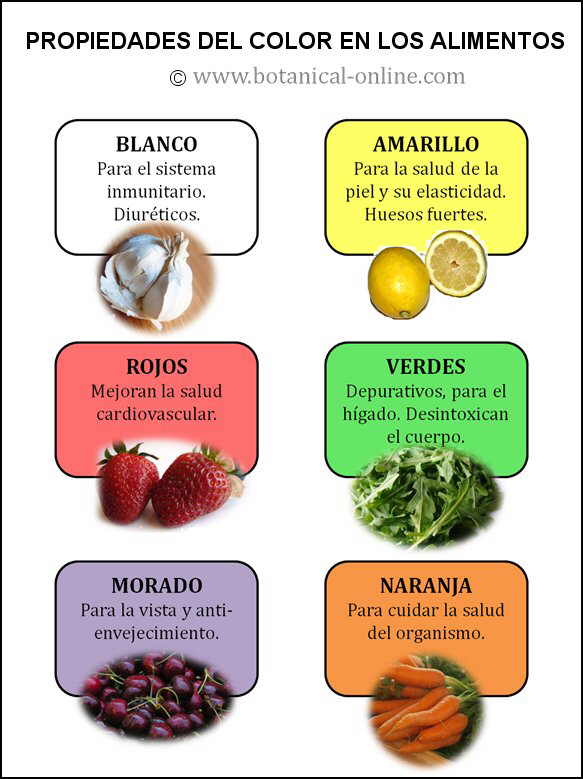 Influencia Del Color En Los Alimentos 6460