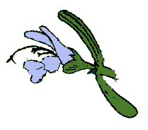 FLORES ROMERO flores romero: