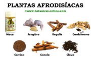 Plantas Medicinales Afrodisiacas Botanical Online