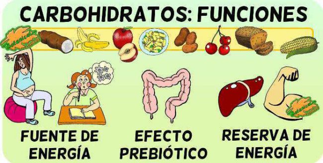 Caracter Sticas Funciones Y Tipos De Hidratos De Carbono Botanical Online