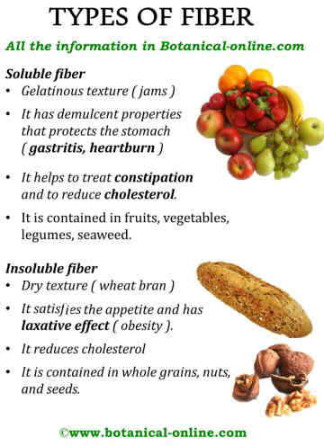 Types of fiber Botanical online