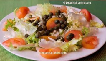 capers salad