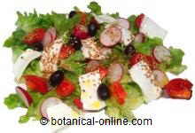 Varied salad with cheese and sesame