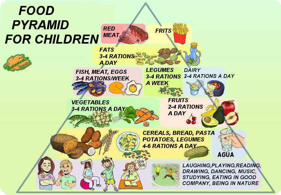 piramide nutricional niños
