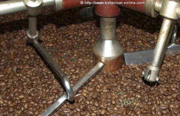 Picture of freshly roasted coffee beans