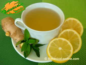 Infusion of ginger with lemon and mint