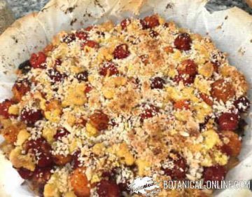 apple crumble with strawberry tree fruits