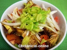 Salad with tomato,onion and artichoke