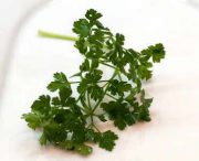 parsley