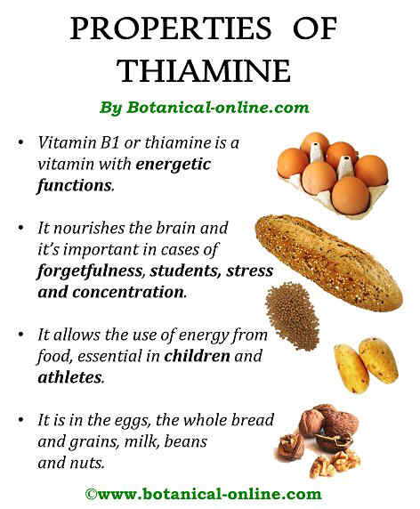 thiamine foods