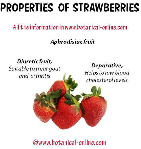 Strawberries properties