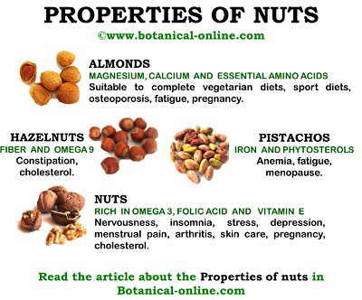 properties_nuts