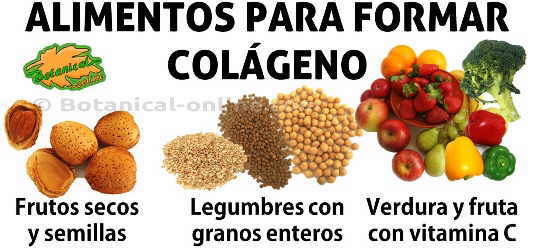 Resultado de imagen para proteina Colageno alimentos