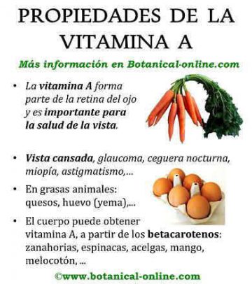 Necesidades De Vitamina A Botanical Online