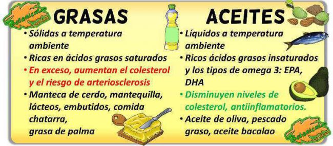 Diferencias Entre Aceites Y Grasas Botanical Online 4199