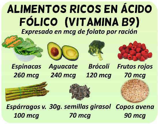 Alimentos ricos en ácido fólico o vitamina b9 - Ovoclinic