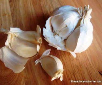 Cocinar con teflón es malo para la salud? – Botanical-online