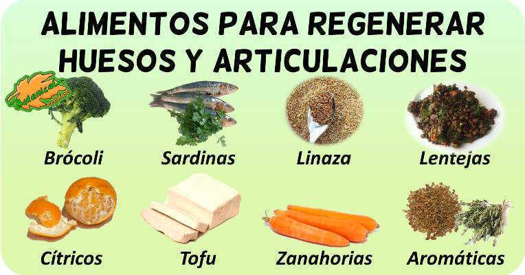 Los Mejores Alimentos Para Huesos Y Articulaciones Botanical Online 5578