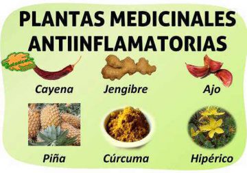 Antiinflamatorios Naturales – Botanical-online