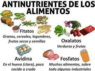 Antinutrientes De Los Alimentos – Botanical-online