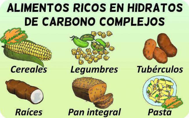 Características De Los Hidratos De Carbono De Absorción Lenta Botanical Online 4313