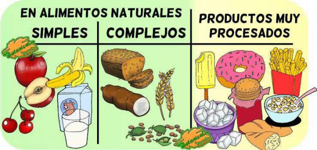 Tipos De Carbohidratos Botanical Online 2771