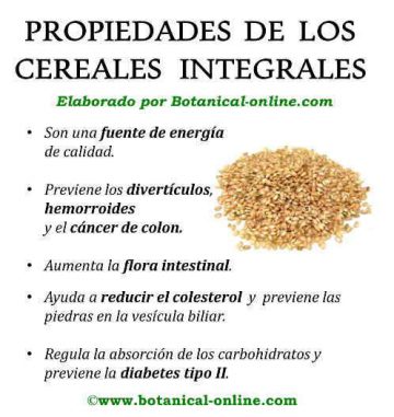 Cereales integrales – Botanical-online