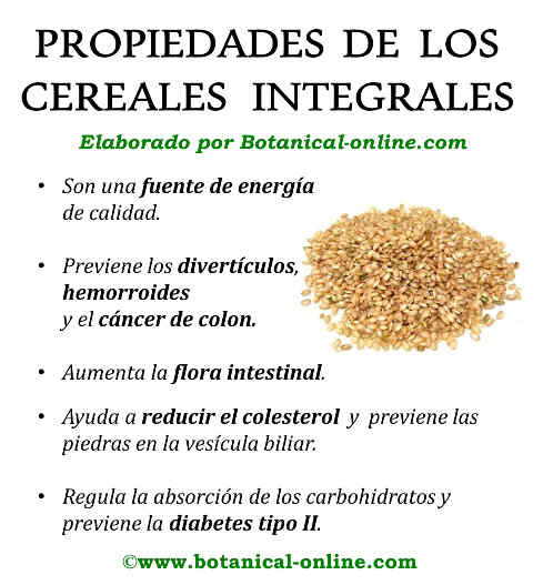 Cereales integrales: qué son y lista de ejemplos saludables - Tua Saúde