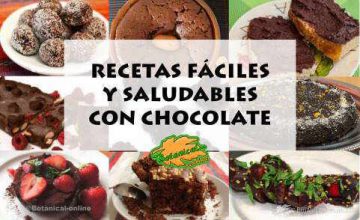 Recetas De Chocolate Fáciles – Botanical-online