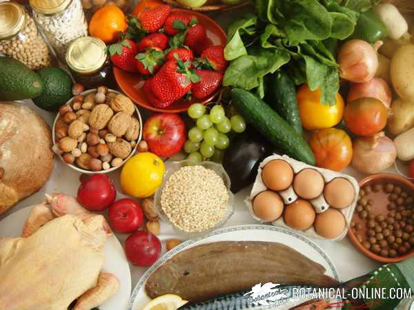 Snacks saludables recomendados por nutricionistas: «Cada persona se tiene  que guiar por sus señales de hambre y saciedad»