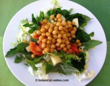 ensalada de garbanzos