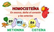 Homocisteína Alta: Síntomas, Consecuencias Y Tratamiento – Botanical-online