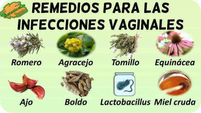 Remedios Con Plantas Medicinales Para Las Infecciones De La Vagina Botanical Online