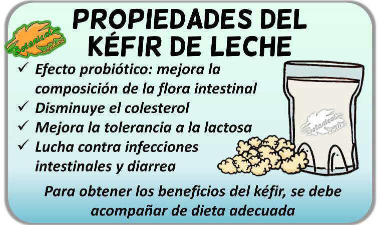 Propiedades del Kéfir, la popular bebida fermentada probiótica -  PequeRecetas