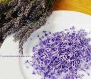 lavanda