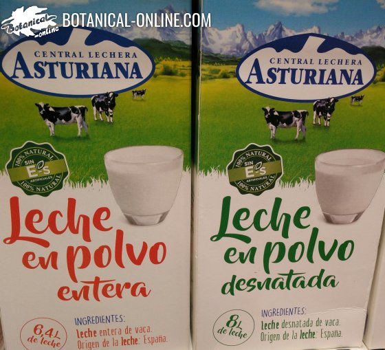 Leche en polvo entera - Central Lechera Asturiana