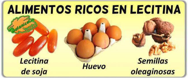 Alimentos Ricos En Lecitina Botanical Online 6821