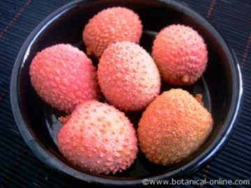 lichi