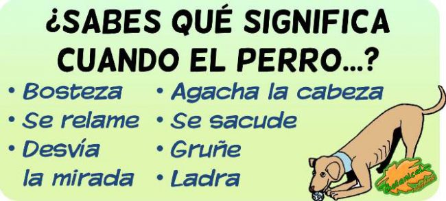 Cómo Hablan Los Perros: Detecta E Interpreta Sus Gestos Y Señales ...