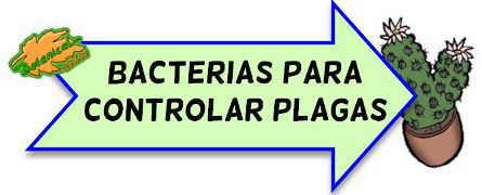 control plagas con bacterias