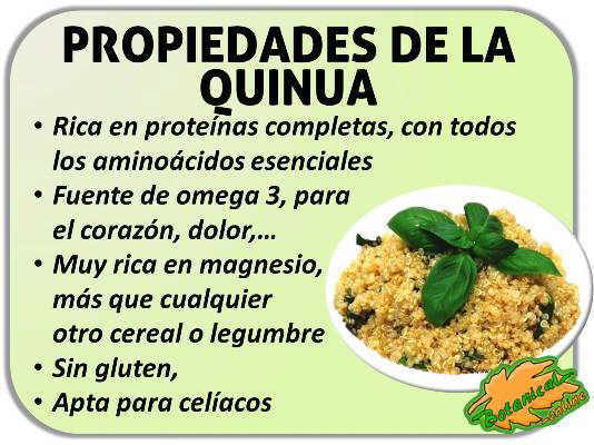 propiedades medicinales y beneficios de la quinoa o quinua para la salud