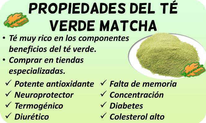 Propiedades del té Matcha – Botanical-online