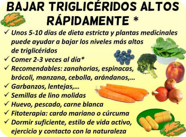 Remedios Para Bajar Rápido Los Triglicéridos Botanical Online 2875