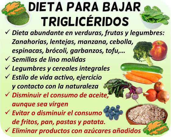 Dieta para los triglicéridos – Botanical-online